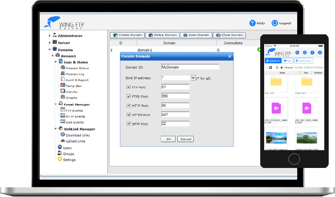 Wing FTP Server