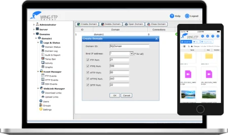 Wing FTP Server